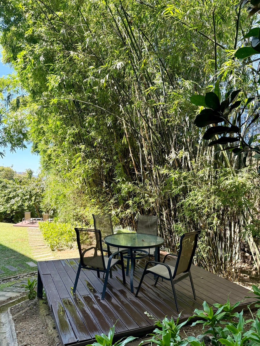 Space and Comfort — photo 16 of 19
