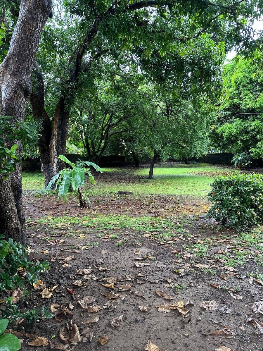 Prime Mixed Use Corner Lot 100 meters from the Ocean in front of the Pacifico Beach Club — photo 7 of 7