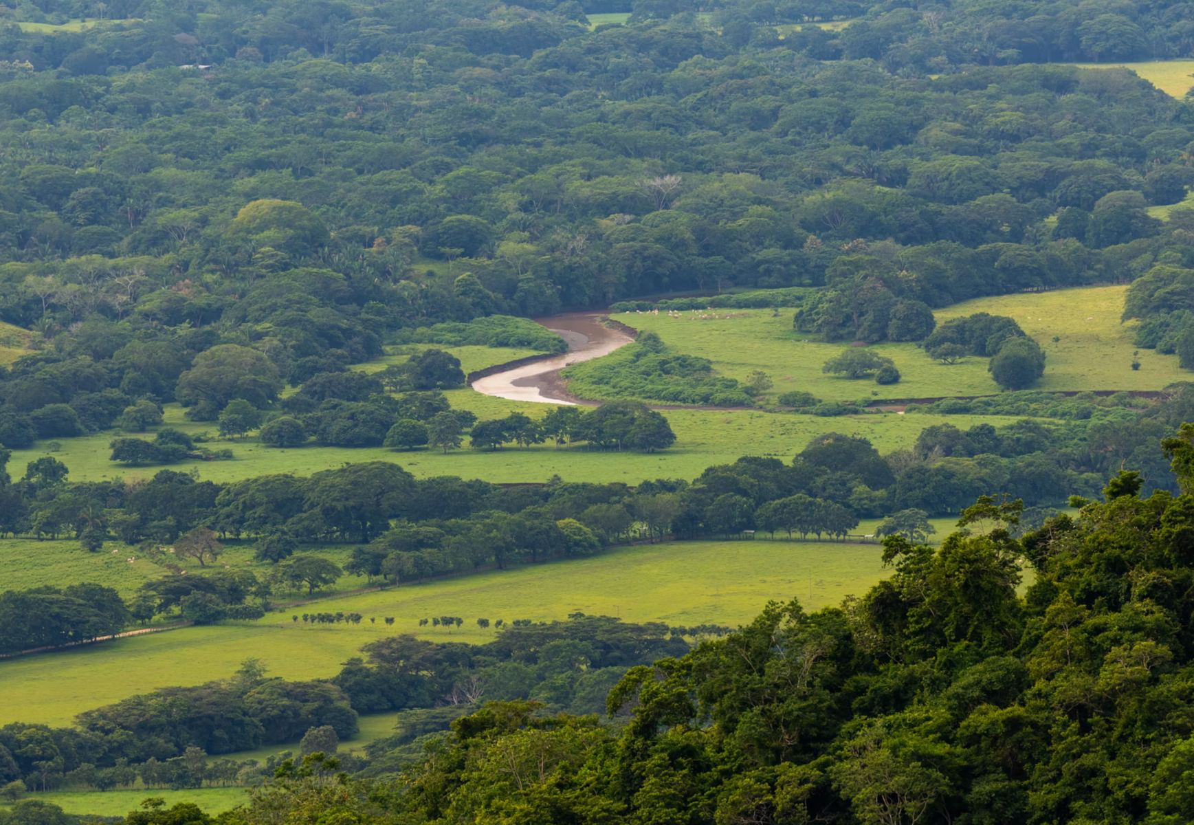 124 Hectares of Prime Ocean View Land in Costa Ricas Blue Zone Nandayure Nicoya Guanacaste — photo 5 of 10
