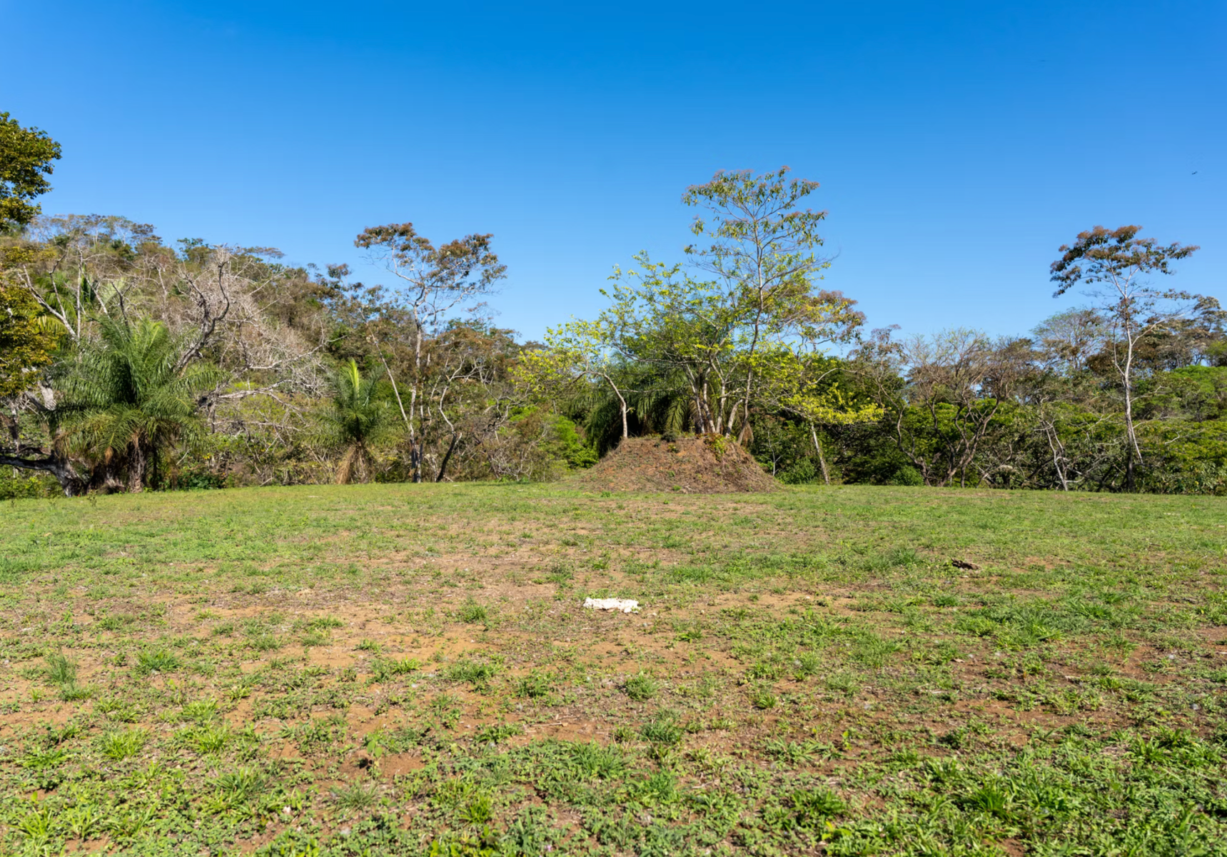 124 Hectares of Prime Ocean View Land in Costa Ricas Blue Zone Nandayure Nicoya Guanacaste — photo 6 of 10