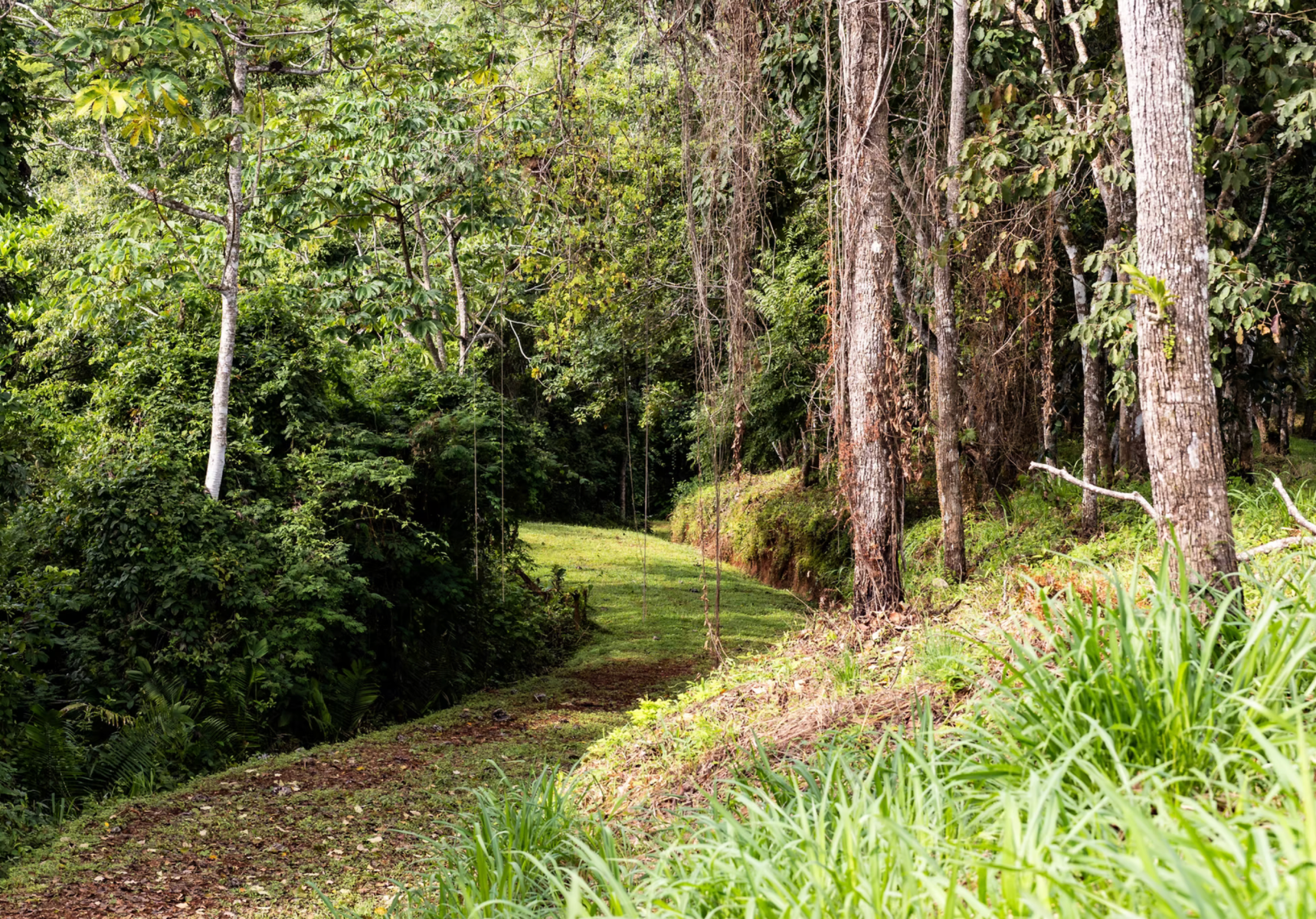 124 Hectares of Prime Ocean View Land in Costa Ricas Blue Zone Nandayure Nicoya Guanacaste — photo 10 of 10