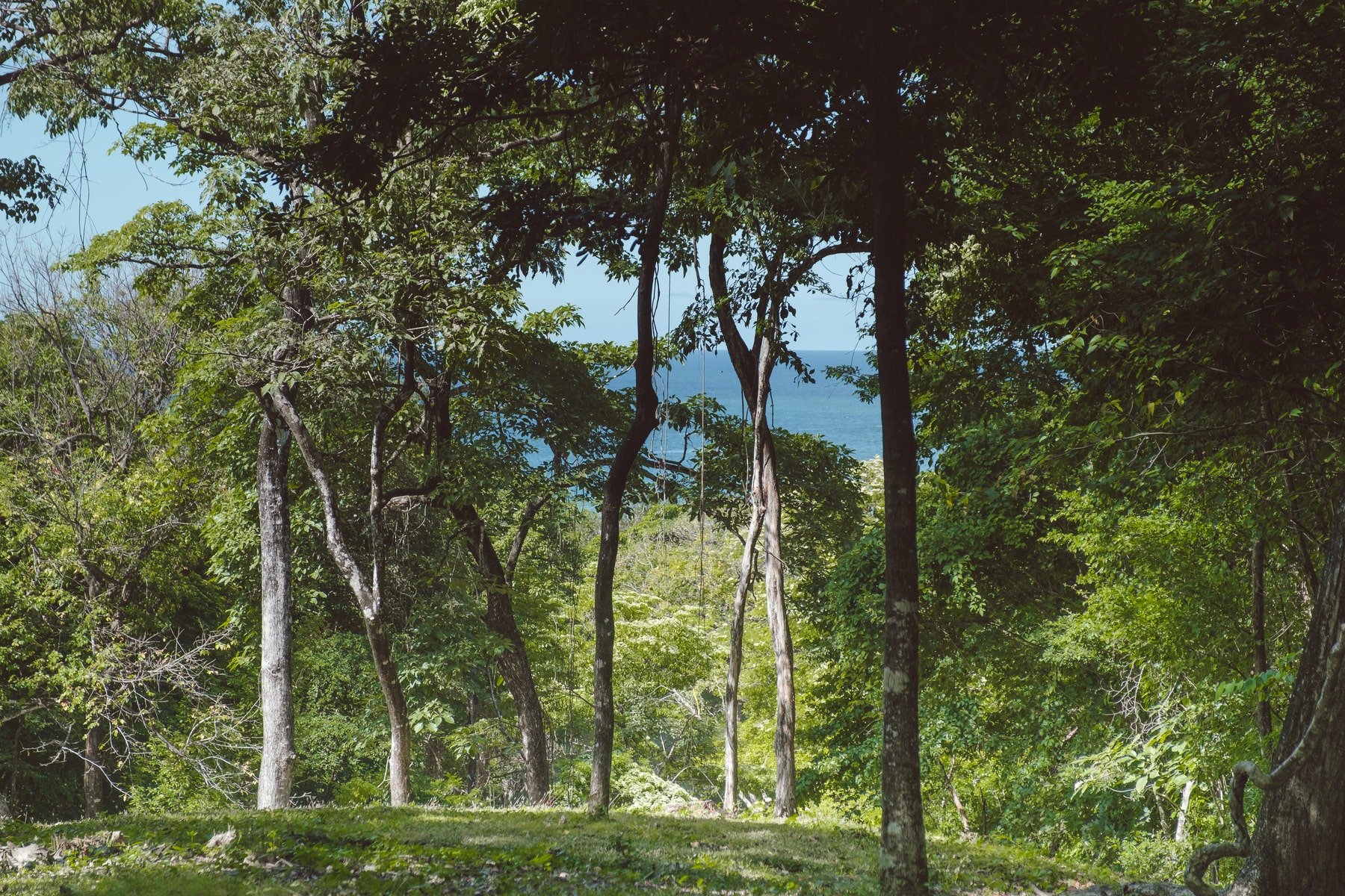 A9 Guanavista A1 Ocean View , #A9, Ostional, Nosara, 4455, Santa Cruz, Guanacaste, Costa Rica 50206