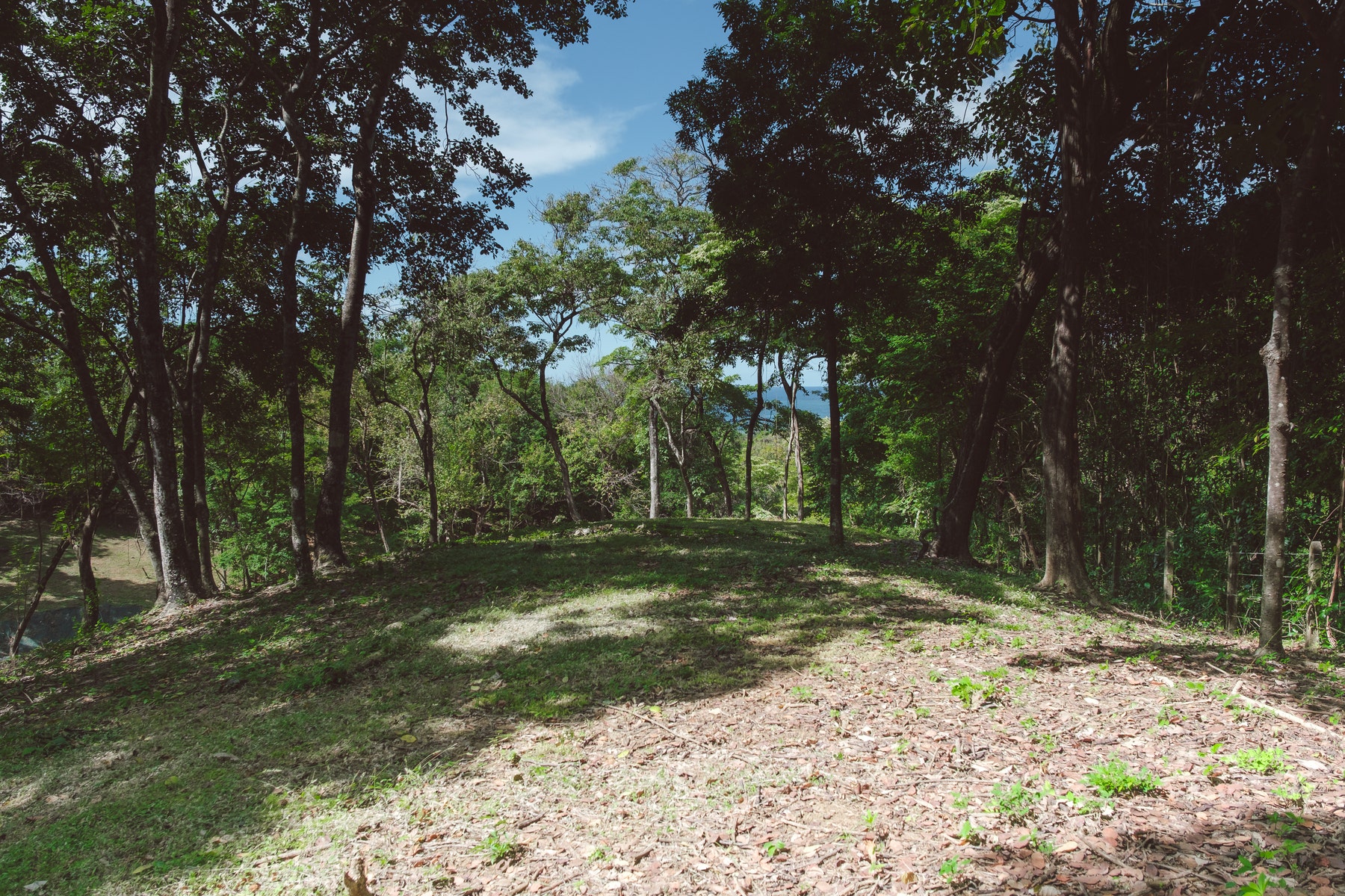 A9 Guanavista A1 Ocean View , #A9 — photo 2 of 5