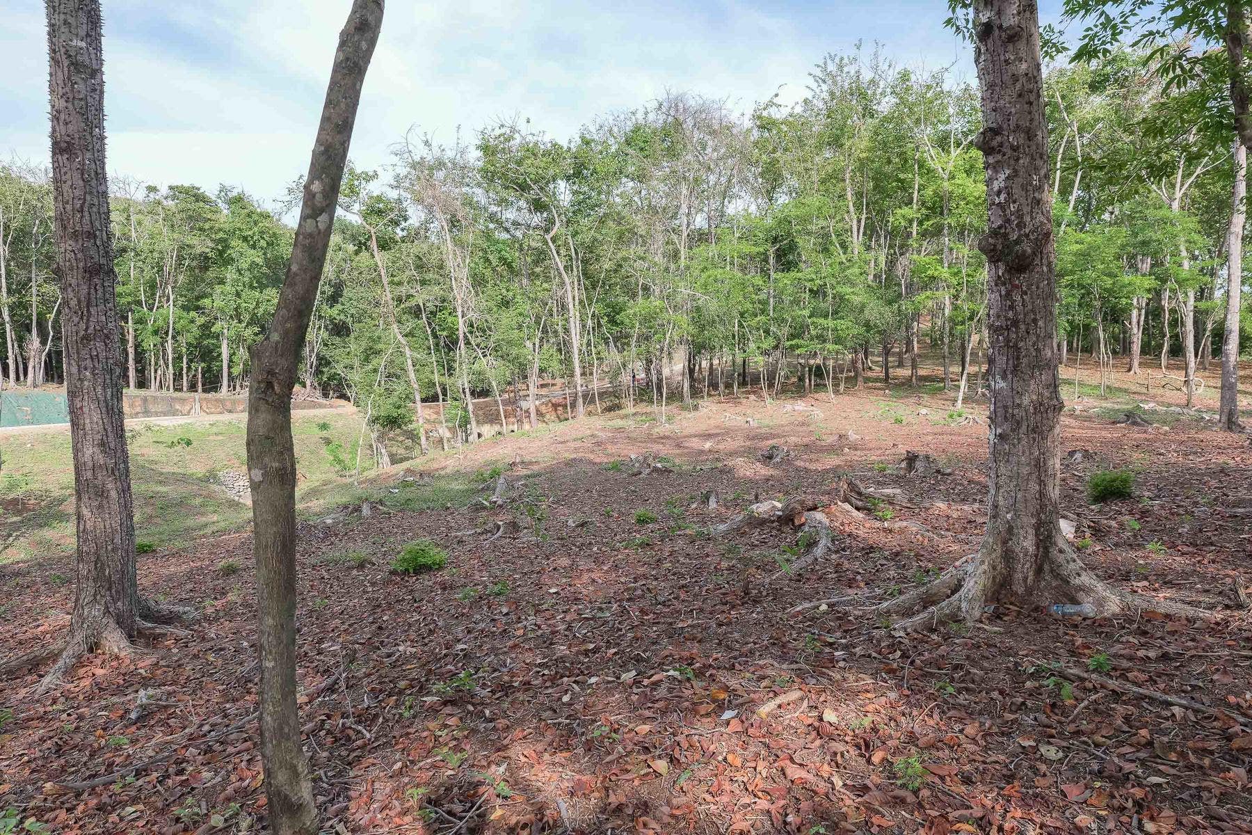 A9 Guanavista A9 (Arrribada phase 1), #A9 — photo 4 of 7