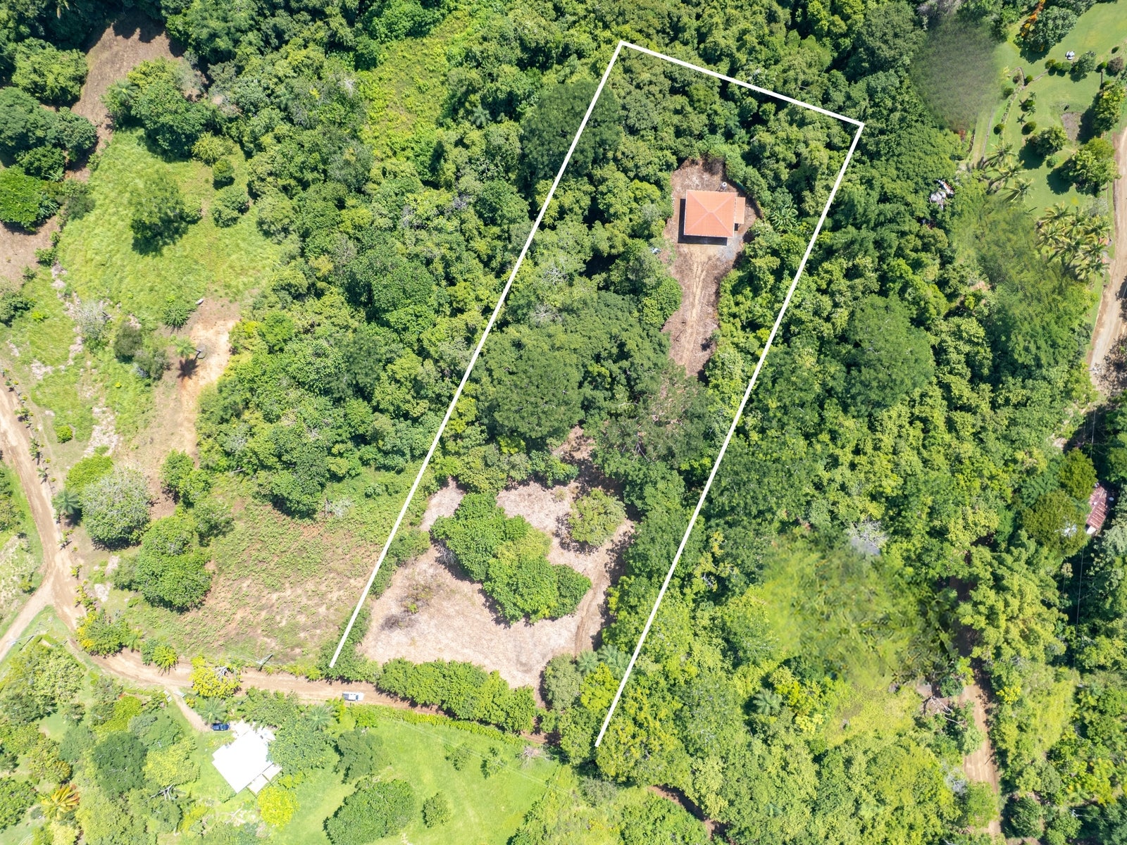 Jungle House With a Huge Field to Expand it — photo 2 of 16