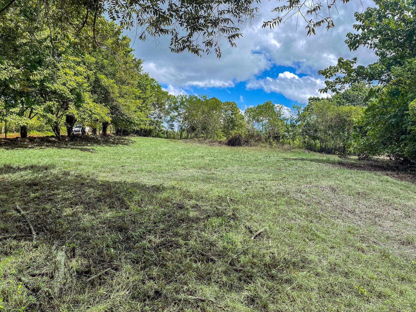 Jungle House With a Huge Field to Expand it — photo 4 of 16