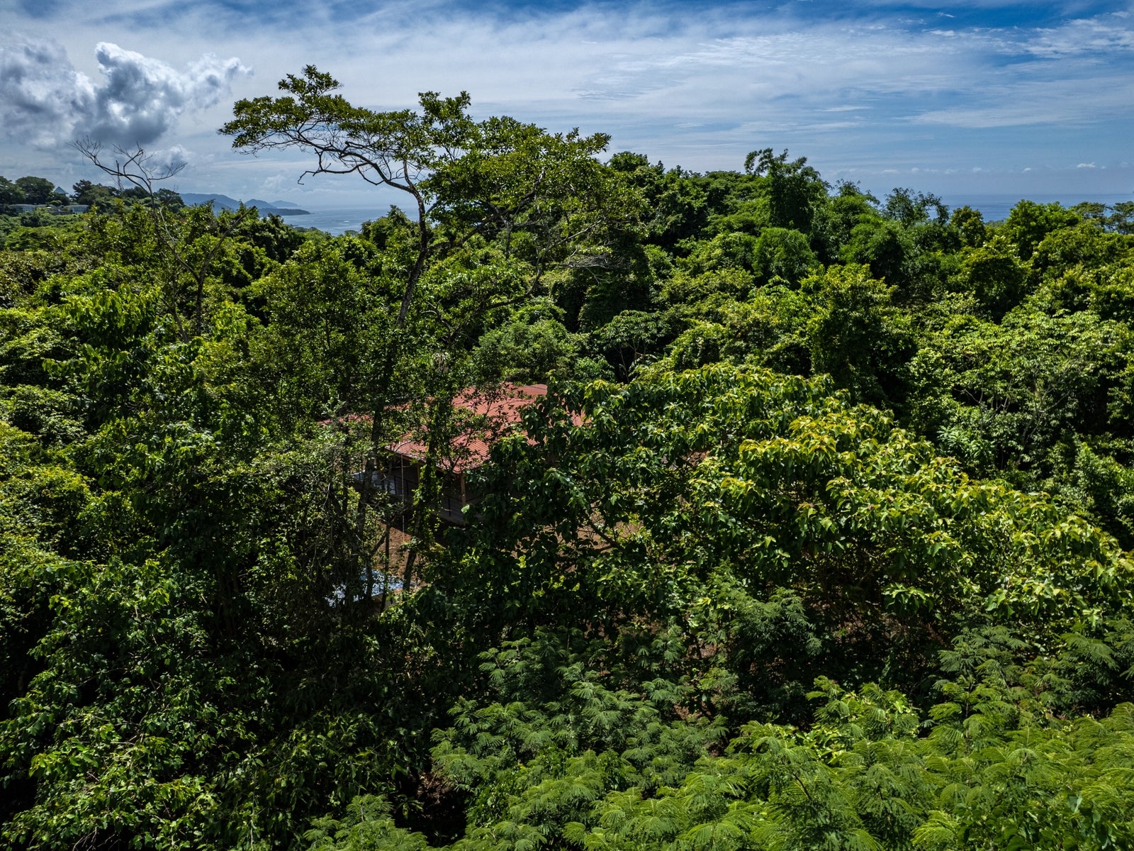 Jungle House With a Huge Field to Expand it — photo 15 of 16