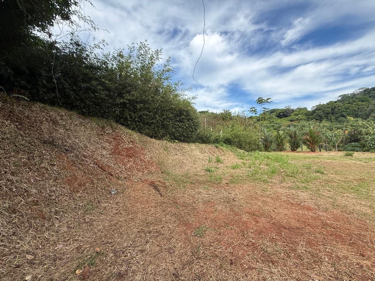 Mountain View Parcel Ready to Build — photo 6 of 11