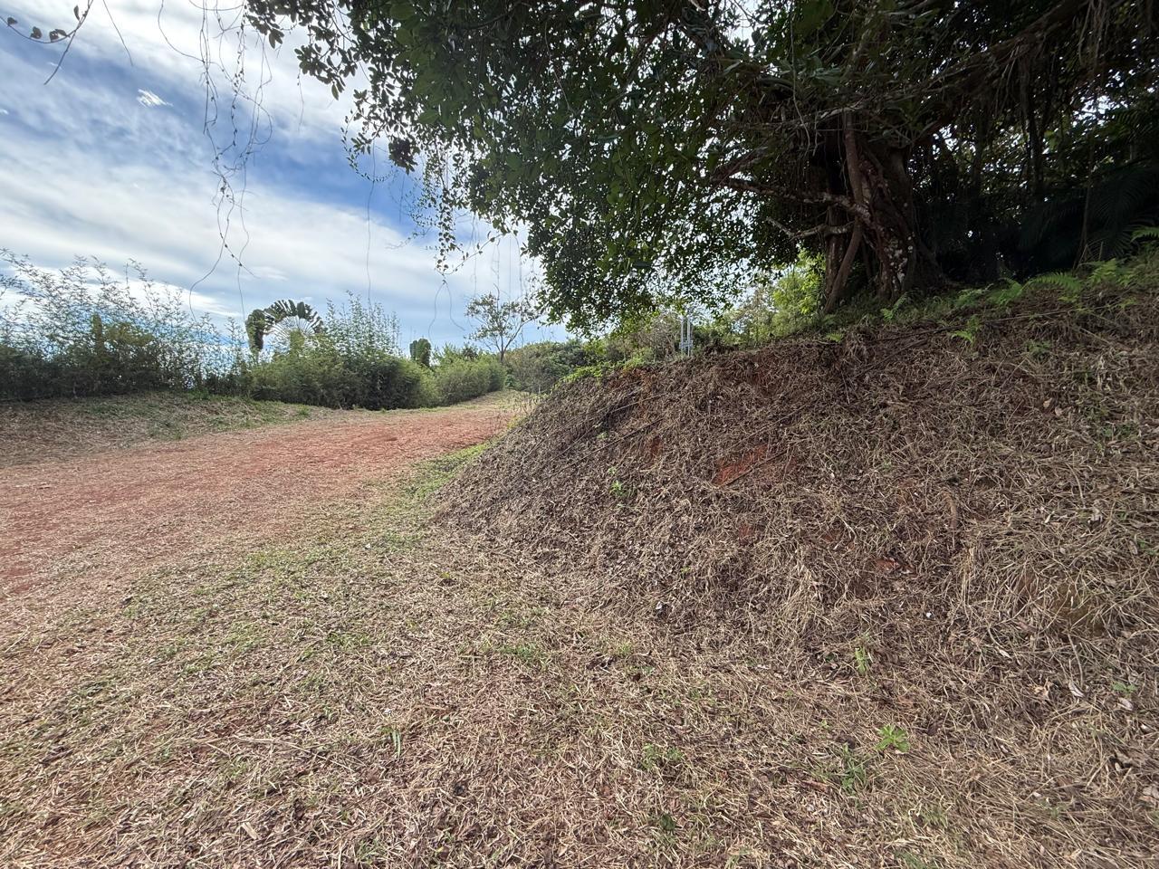 Mountain View Parcel Ready to Build — photo 8 of 11