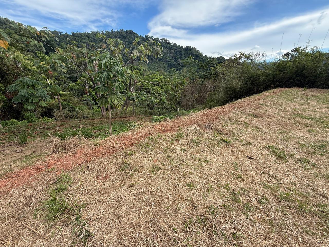 Mountain View Parcel Ready to Build — photo 9 of 11