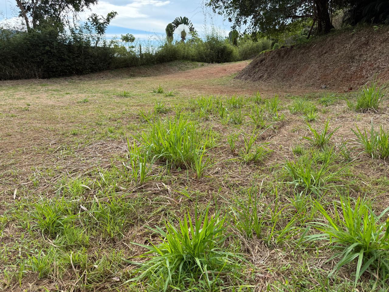 Mountain View Parcel Ready to Build — photo 11 of 11