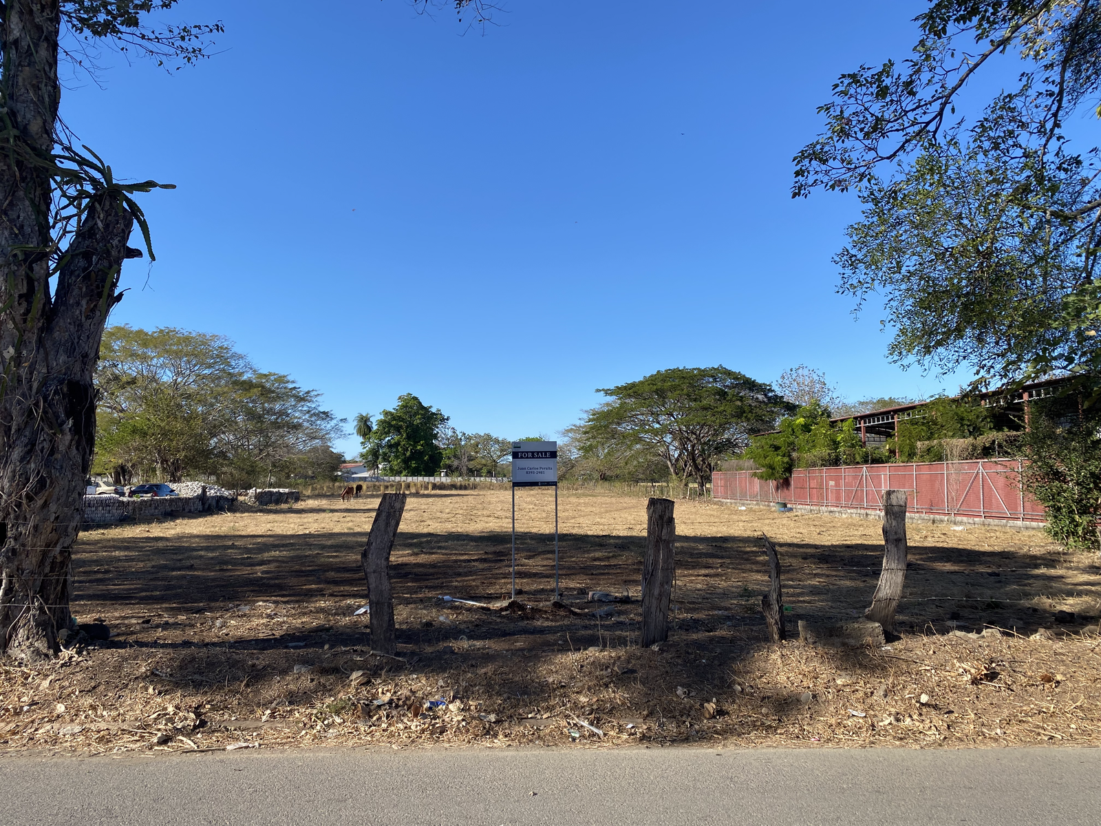One Hectare of Mixed Use Land for Development — photo 8 of 8