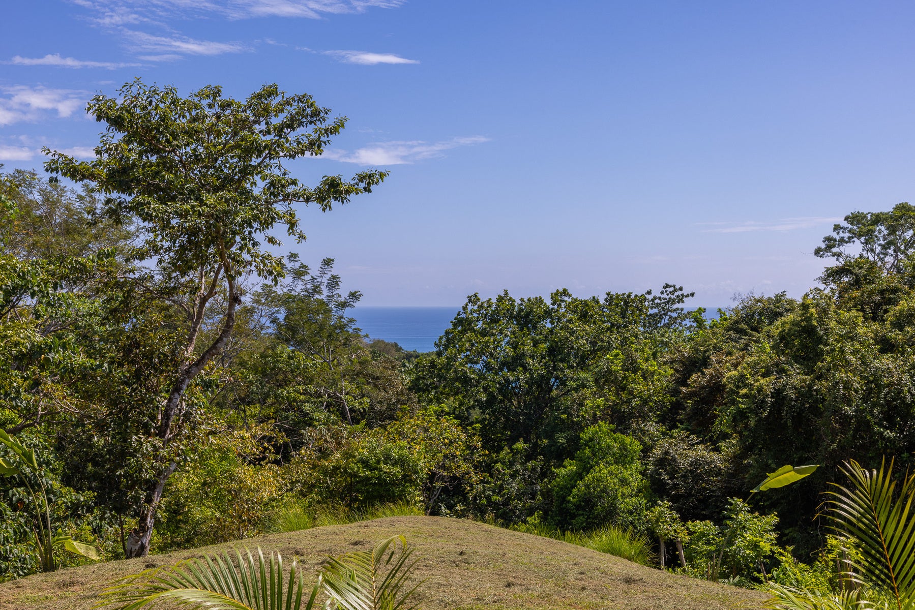 Ocean View 3BR Home , Montezuma, Cobano, Puntarenas, Puntarenas, Costa Rica 60111 Ocean View 3BR Home , Montezuma, Cobano, Puntarenas, Puntarenas, Costa Rica 60111