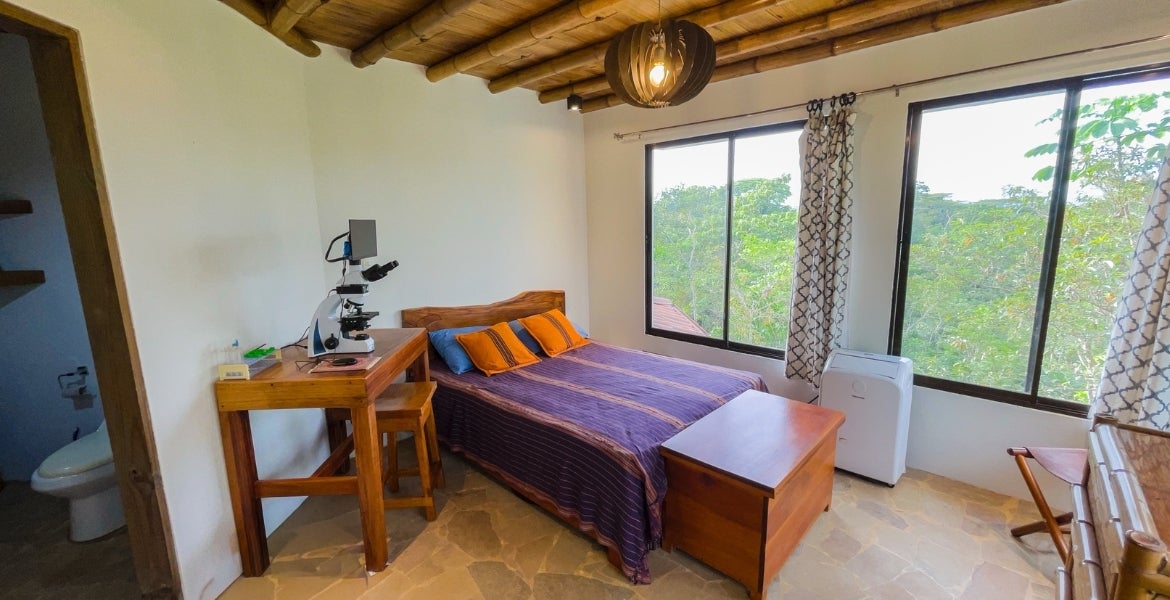 2 Bedroom Bamboo home on 2 hectares — photo 6 of 18