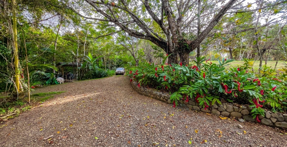 2 Bedroom Bamboo home on 2 hectares — photo 18 of 18