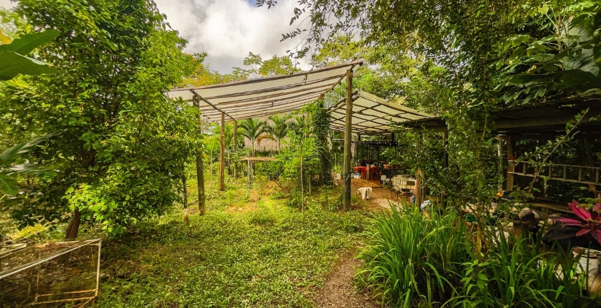 2 Bedroom Bamboo home on 2 hectares — photo 13 of 18
