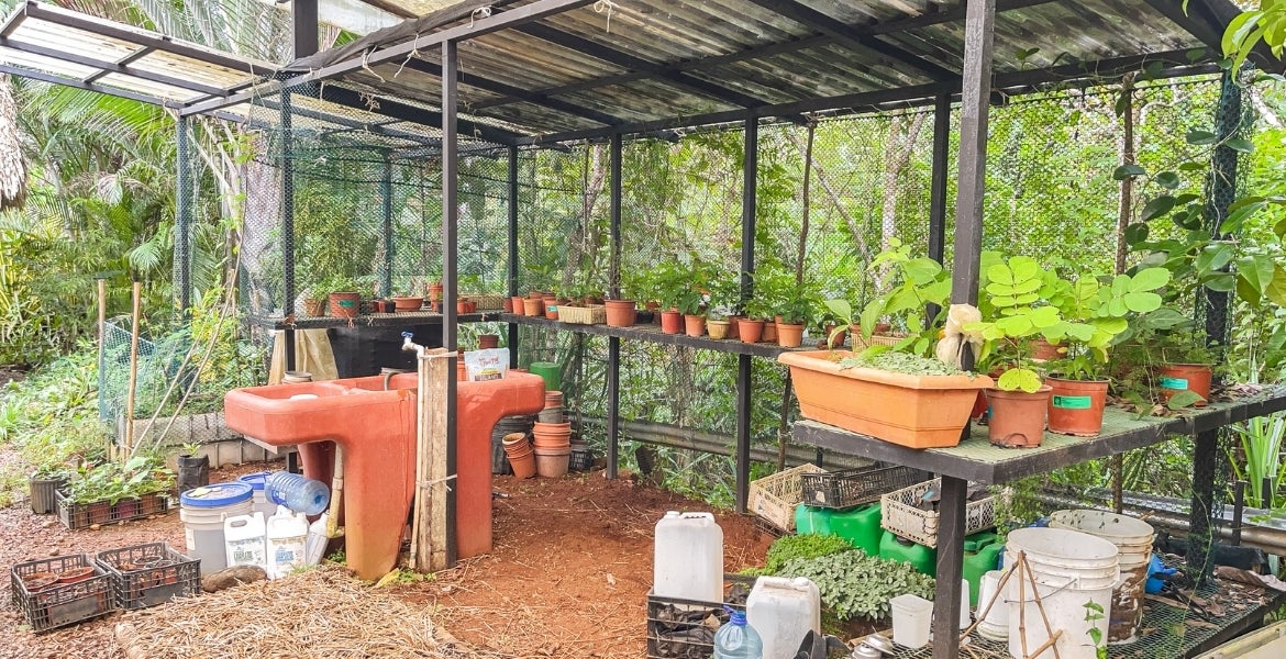 2 Bedroom Bamboo home on 2 hectares — photo 14 of 18