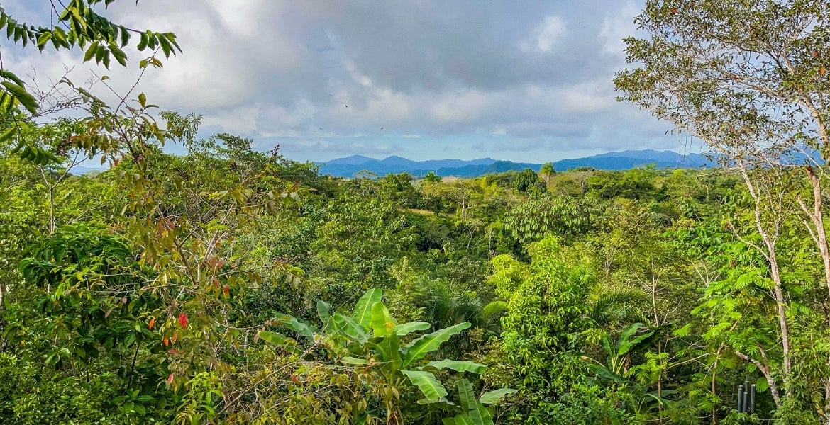 2 Bedroom Bamboo home on 2 hectares — photo 17 of 18