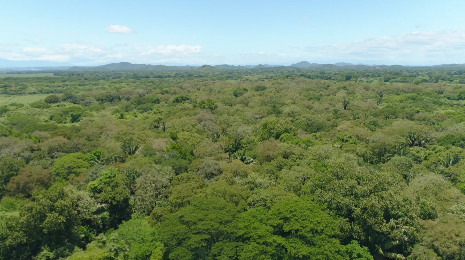 614 Hectare Strategic Farm Development Opportunity — photo 4 of 19
