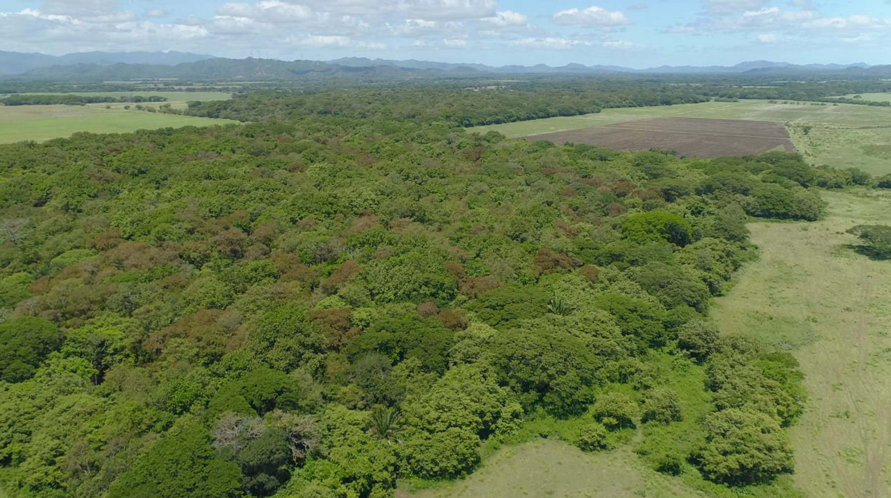 614 Hectare Strategic Farm Development Opportunity — photo 9 of 19