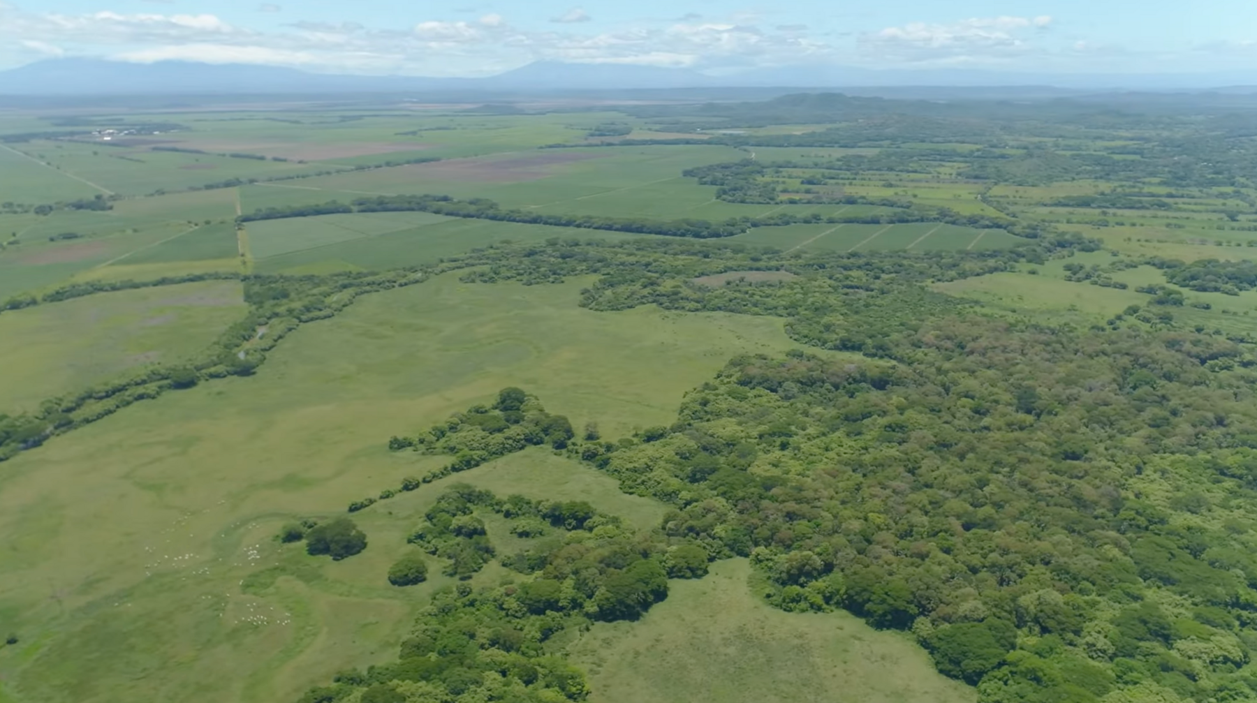 614 Hectare Strategic Farm Development Opportunity — photo 10 of 19