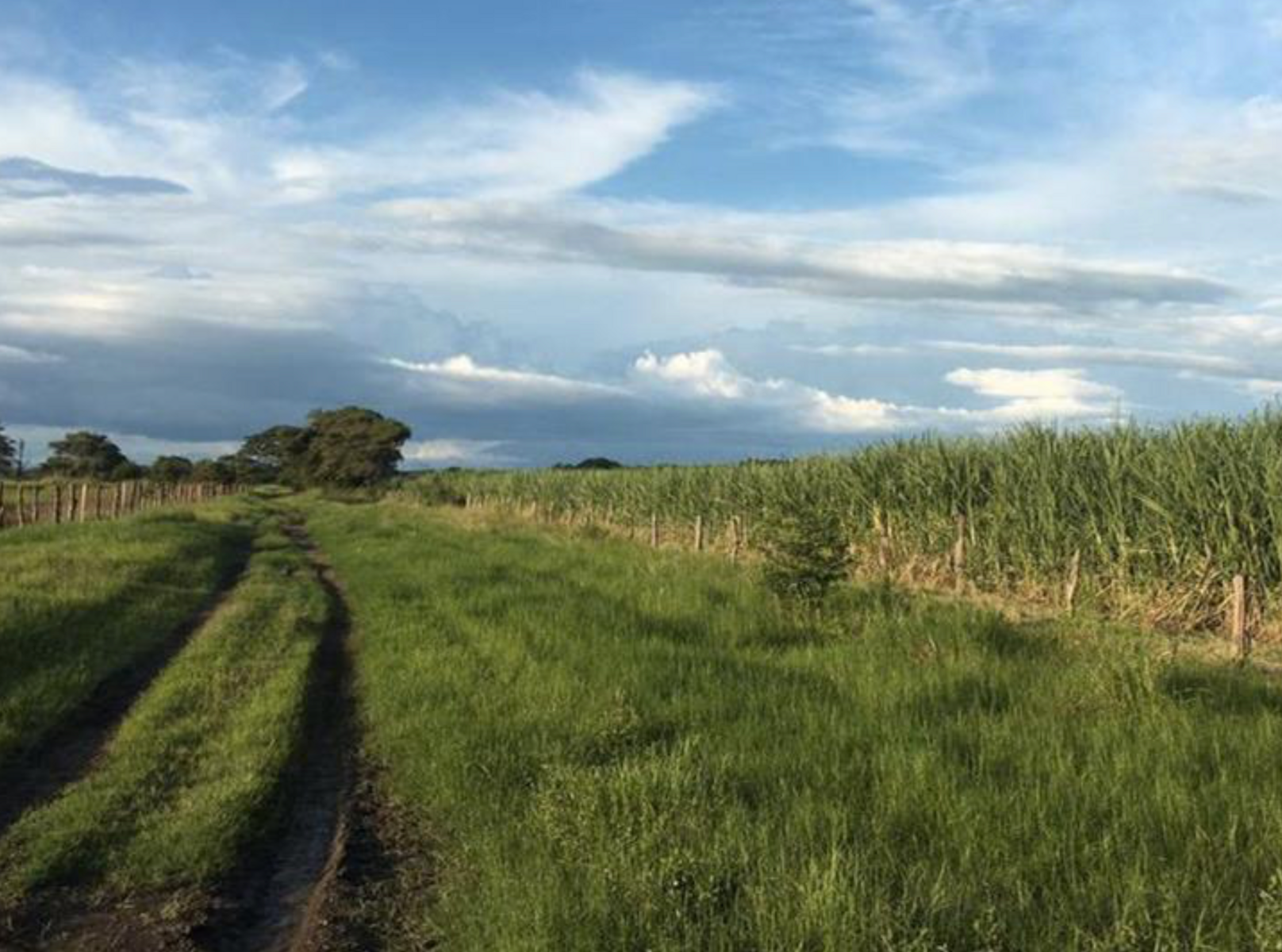 614 Hectare Strategic Farm Development Opportunity — photo 12 of 19