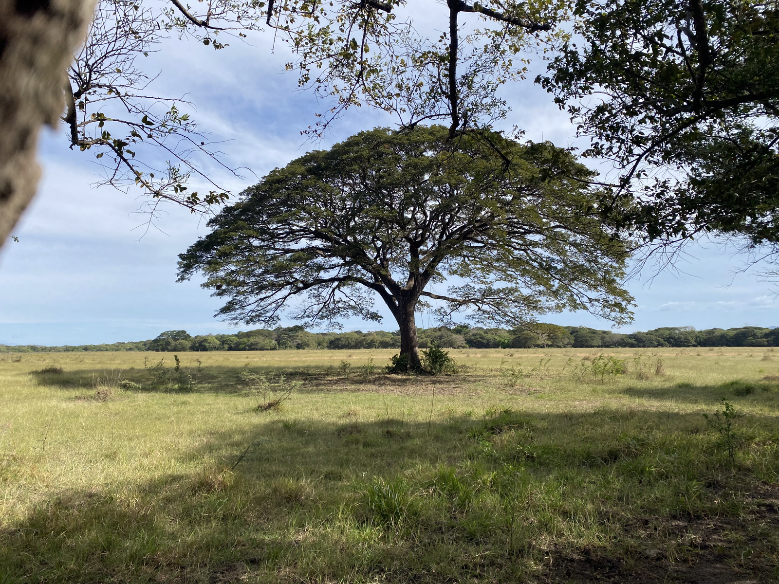 614 Hectare Strategic Farm Development Opportunity — photo 18 of 19