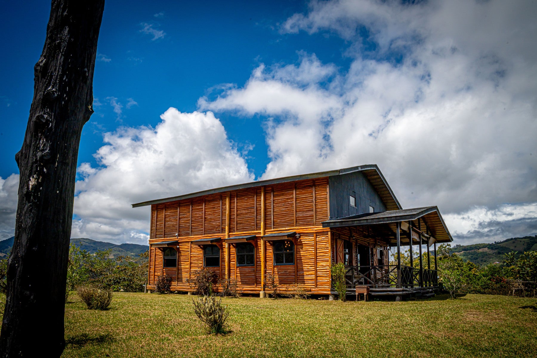 Casa Coyotes A Sustainable Dream House — photo 14 of 19