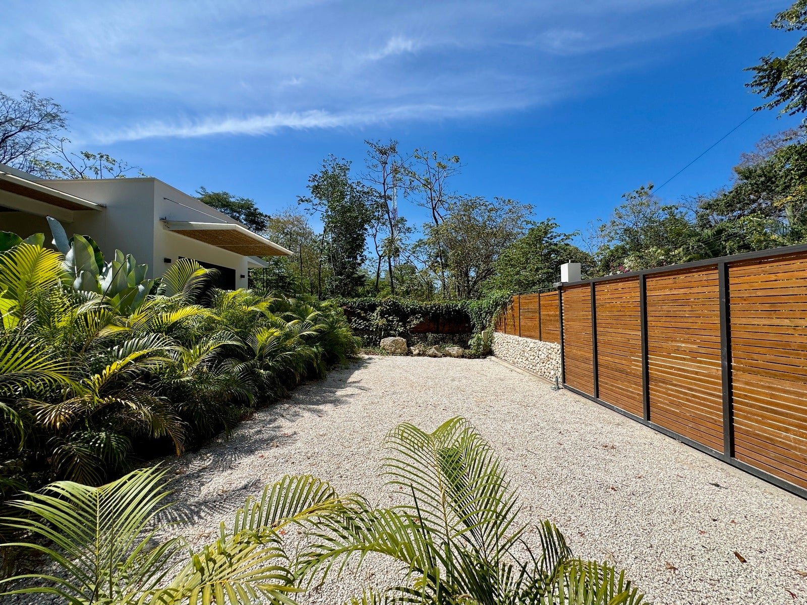 New Modern Tropical Retreat with Pool — photo 16 of 19