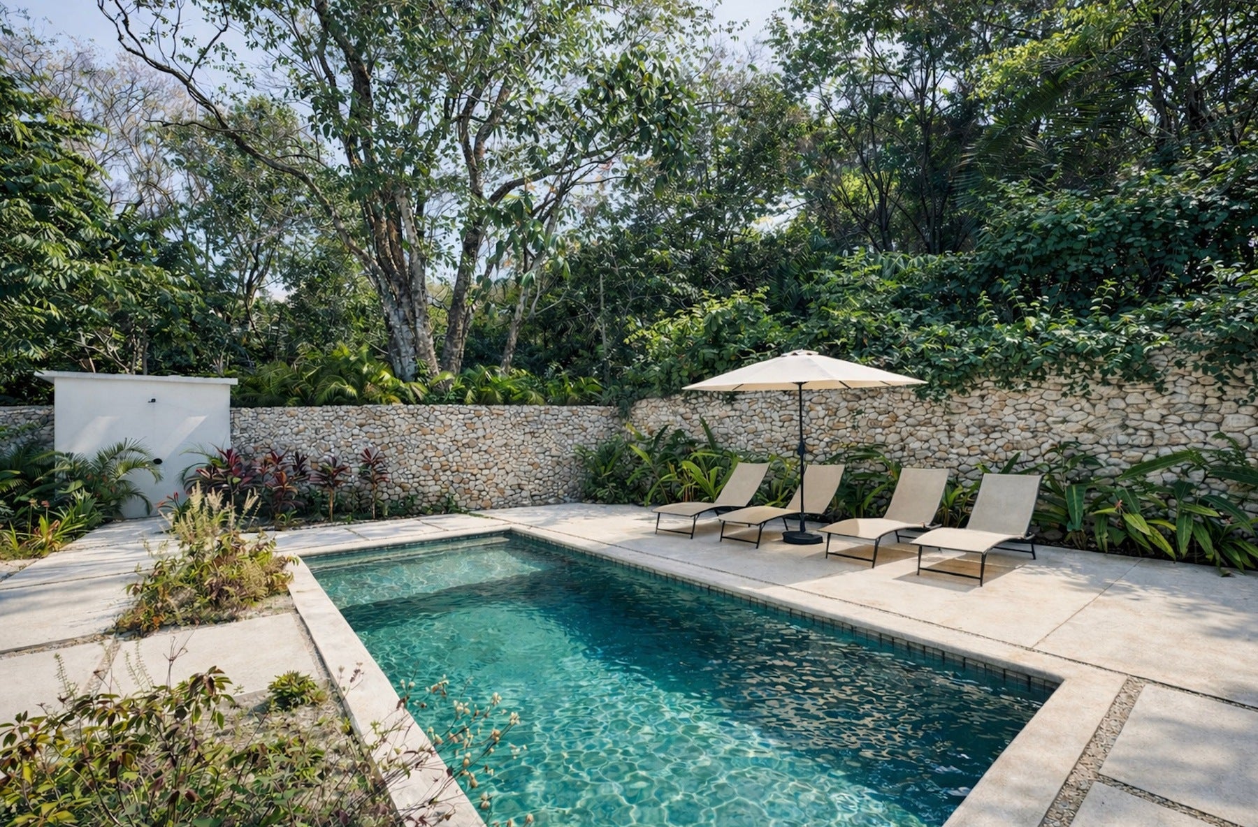 New Modern Tropical Retreat with Pool — photo 7 of 19