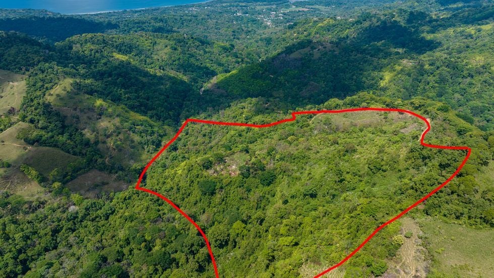 Luxury Waterfall Farm, Uvita, Dominical, Costa Ballena, Osa, Puntarenas, Costa Rica 60504