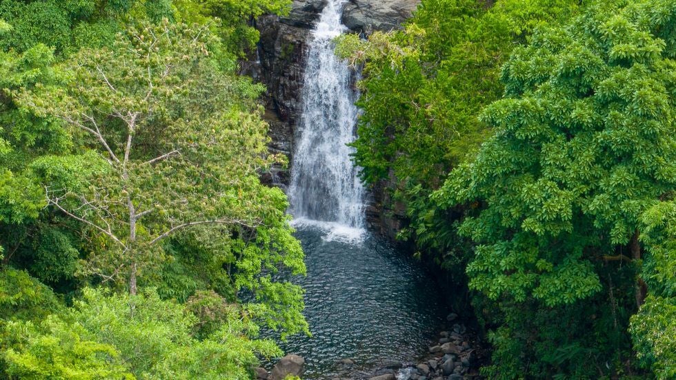 Luxury Waterfall Farm — photo 3 of 19