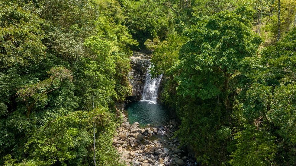 Luxury Waterfall Farm — photo 4 of 19