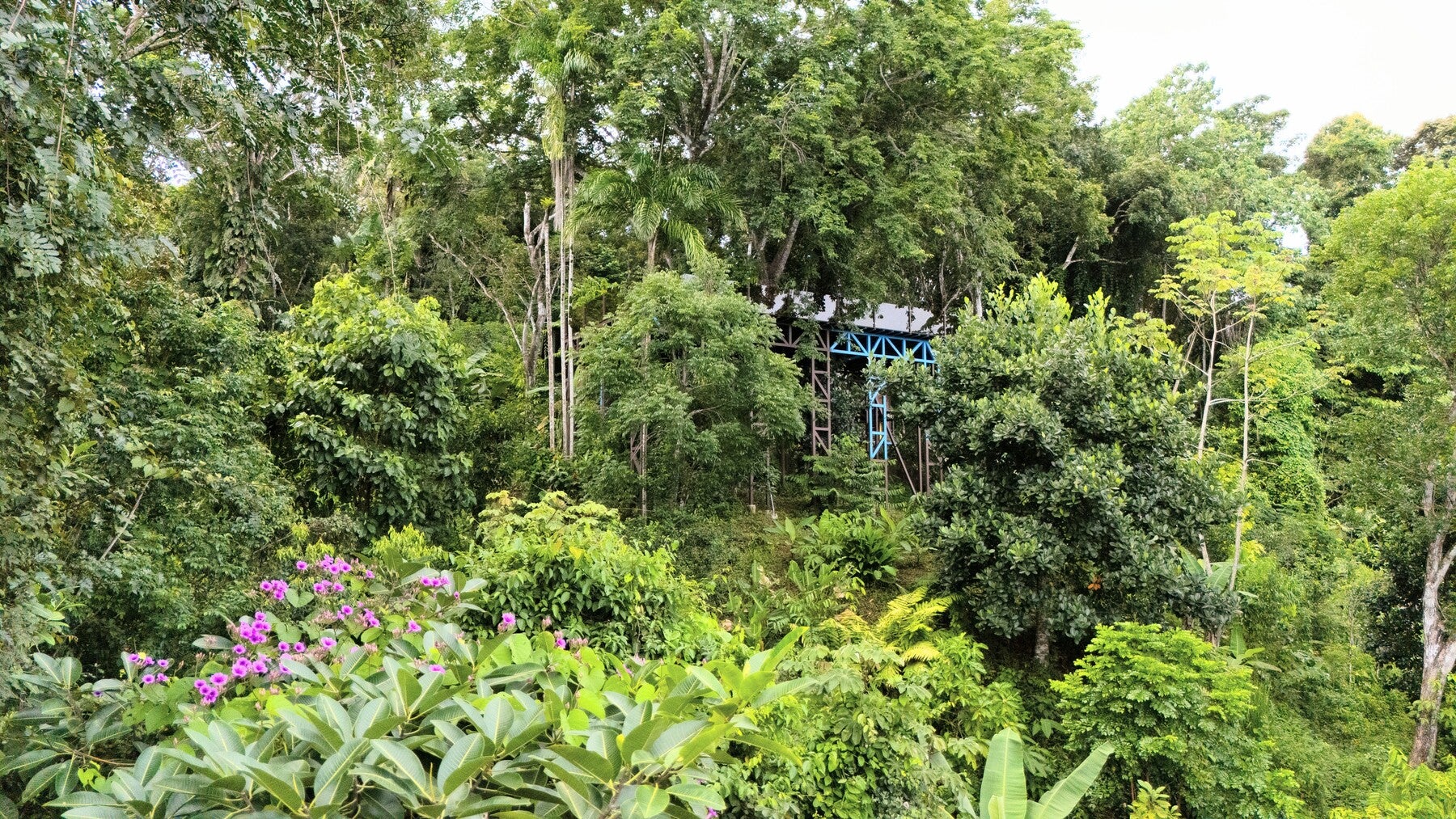 Jungle View Hotel close to Nauyaca — photo 2 of 12