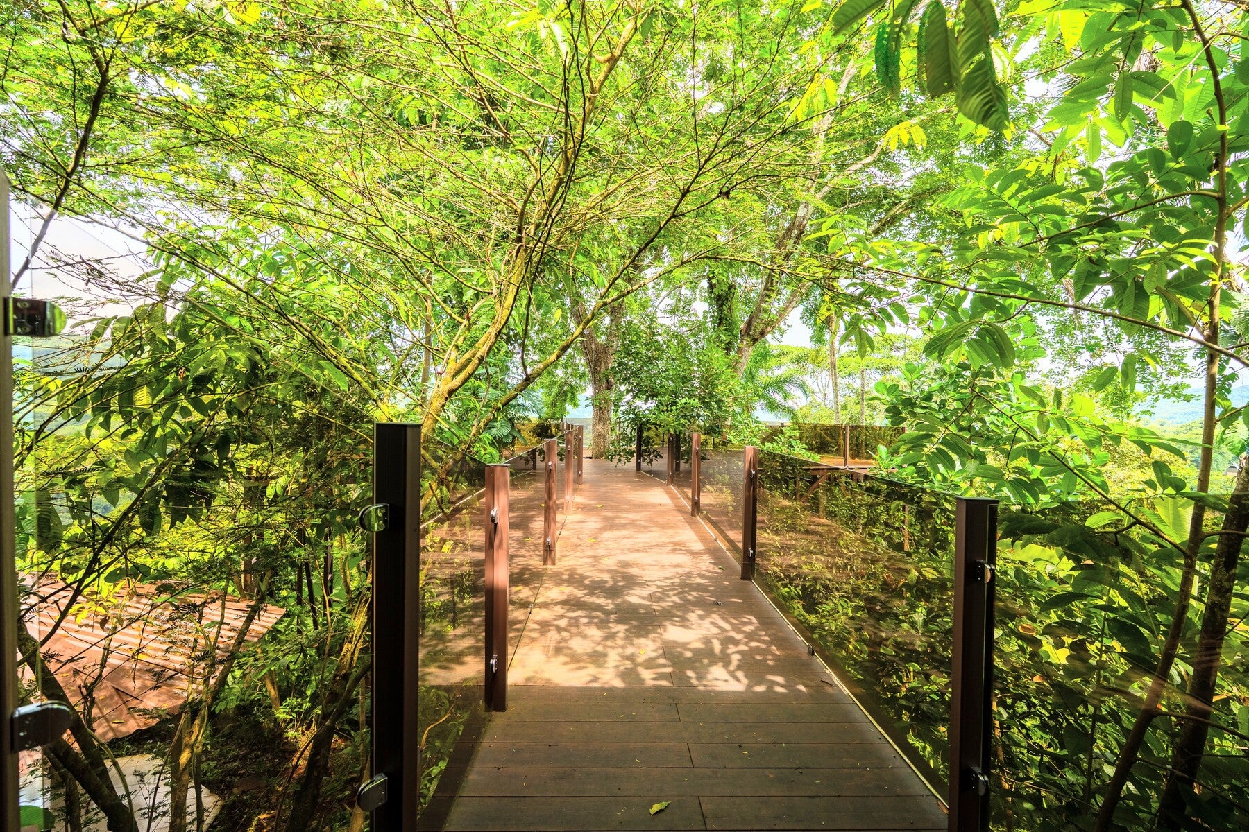 Jungle View Hotel close to Nauyaca — photo 4 of 12