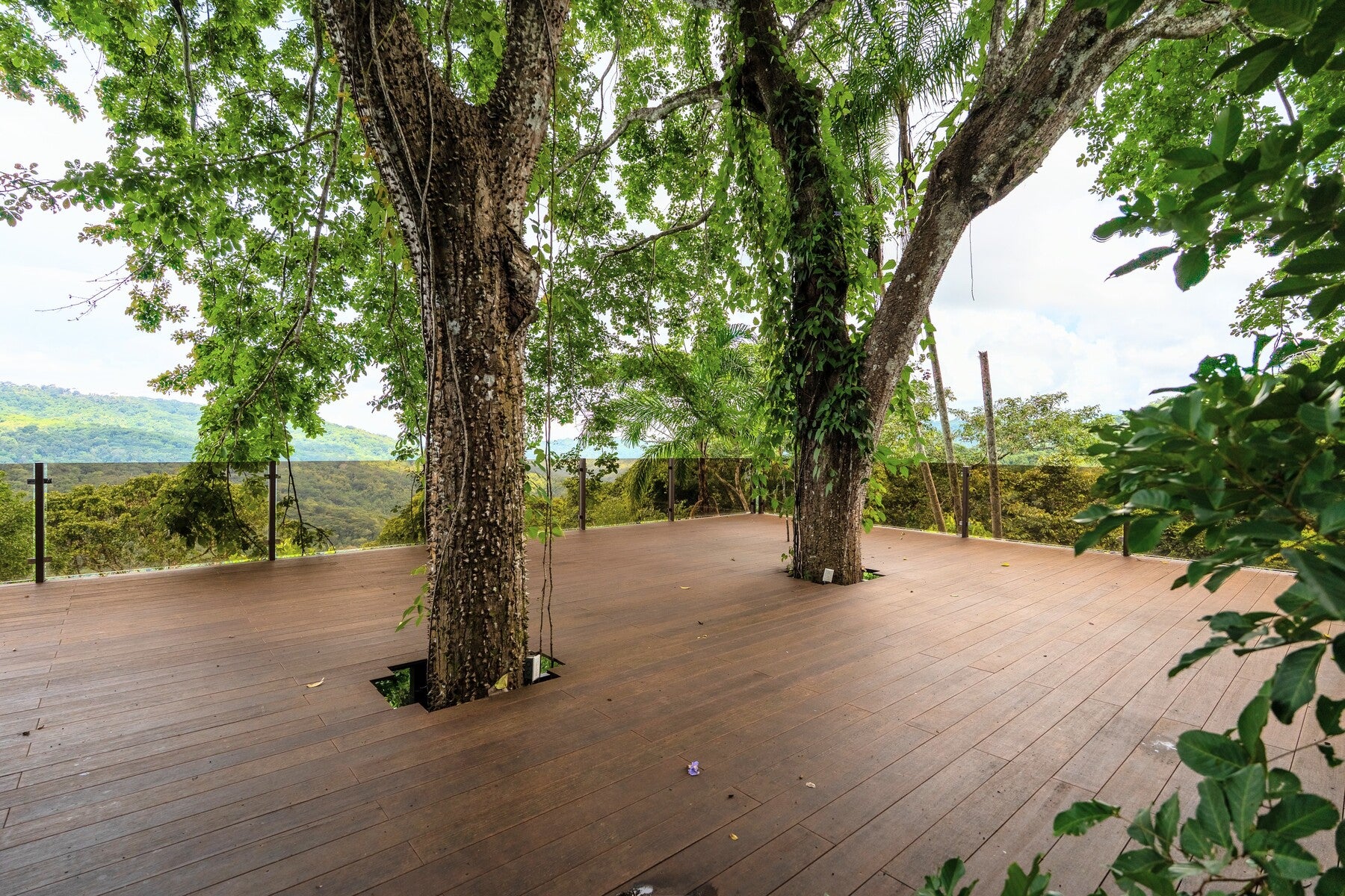 Jungle View Hotel close to Nauyaca — photo 5 of 12