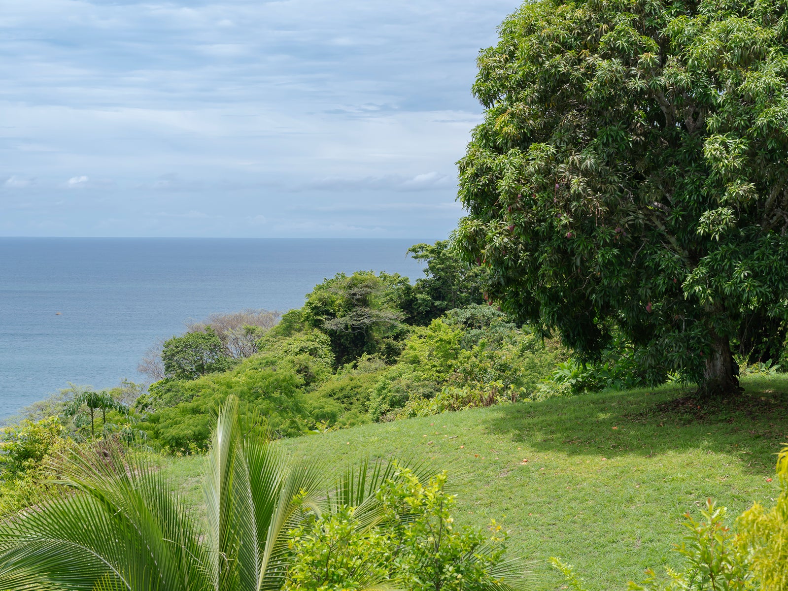 Ocean View Private Estate, Montezuma, Cobano, Puntarenas, Puntarenas, Costa Rica 60111