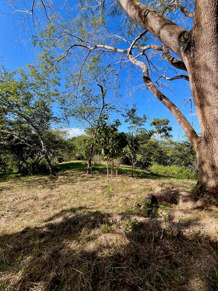 Partial Ocean View Lot Delicias — photo 3 of 12