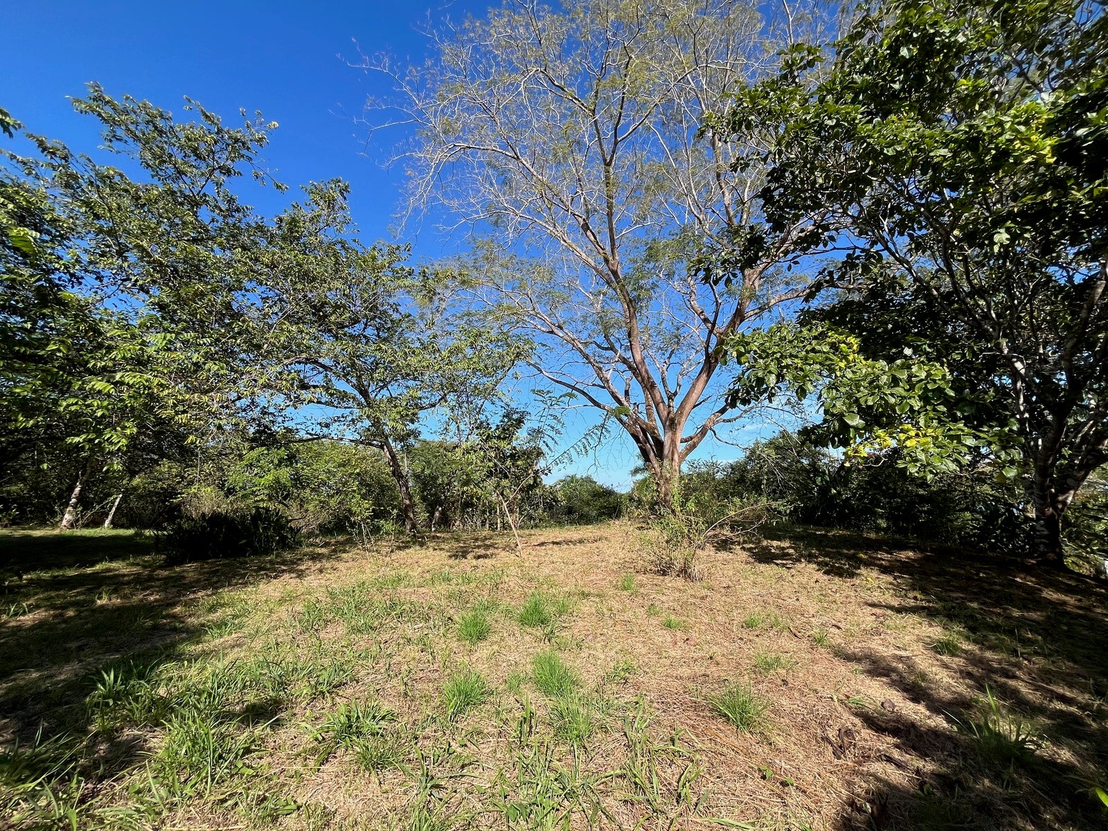 Partial Ocean View Lot Delicias — photo 4 of 12