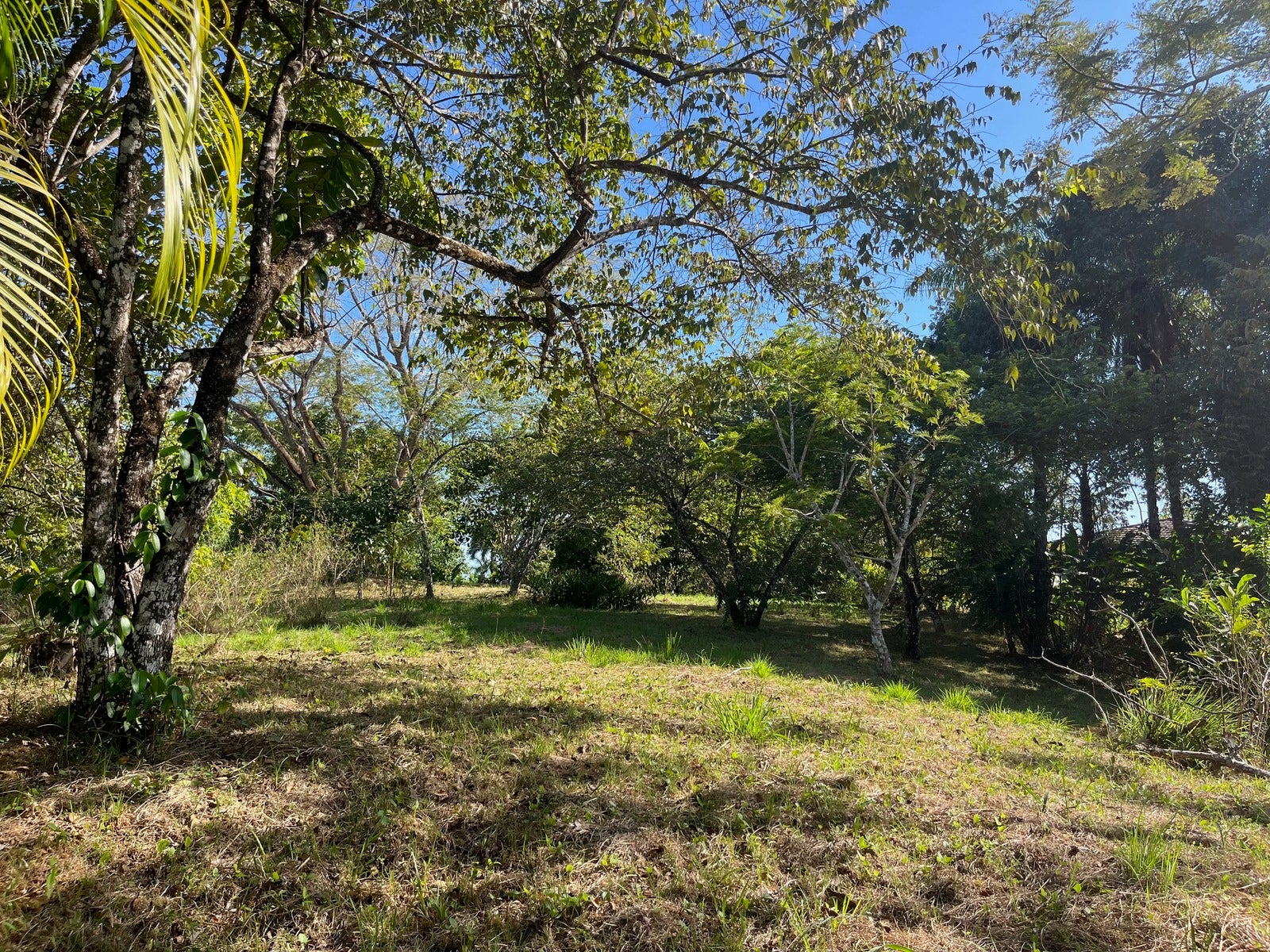 Partial Ocean View Lot Delicias — photo 5 of 12