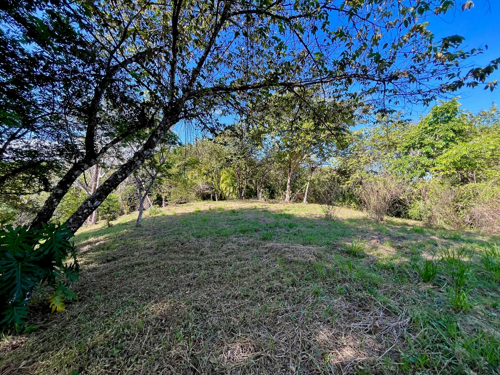 Partial Ocean View Lot Delicias — photo 6 of 12