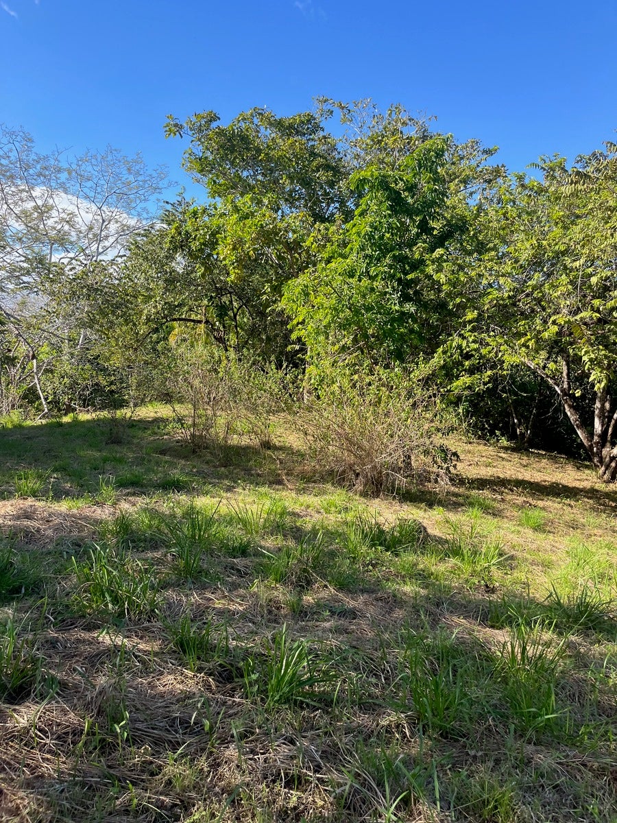 Partial Ocean View Lot Delicias — photo 7 of 12