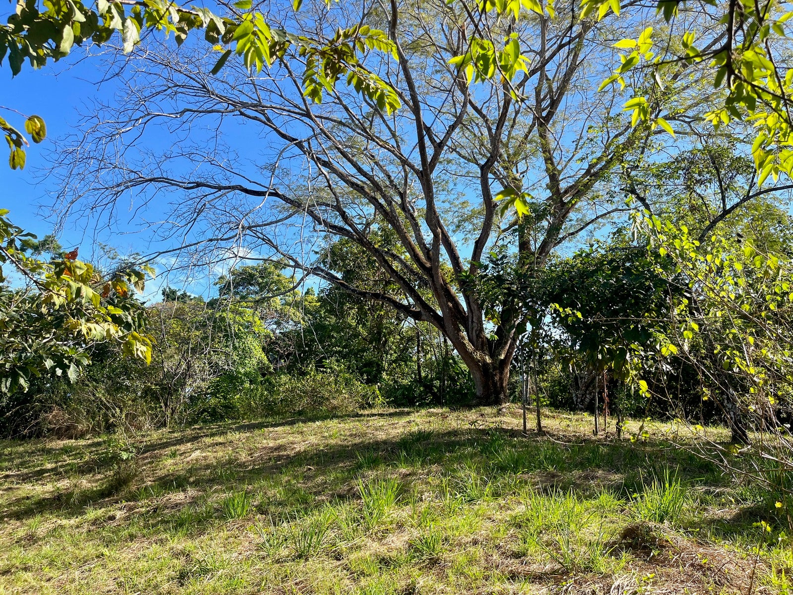 Partial Ocean View Lot Delicias — photo 8 of 12