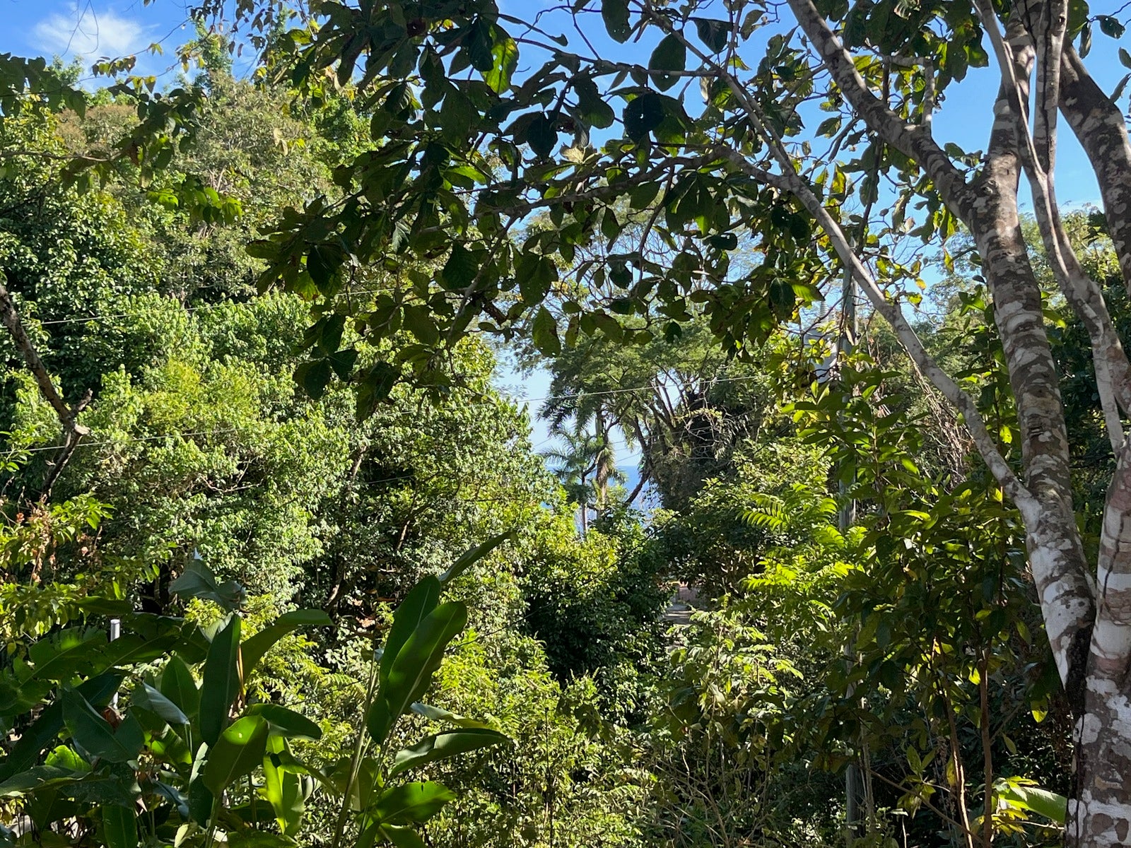 Partial Ocean View Lot Delicias — photo 9 of 12