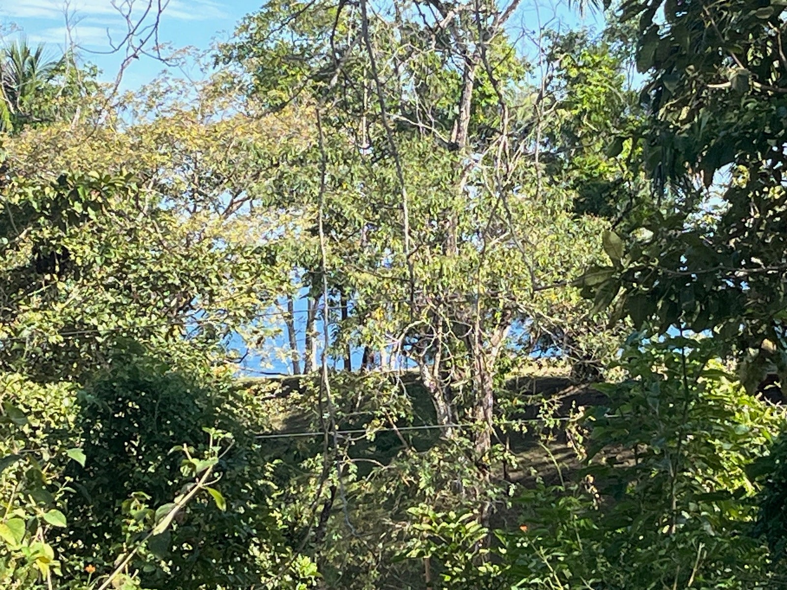 Partial Ocean View Lot Delicias — photo 12 of 12
