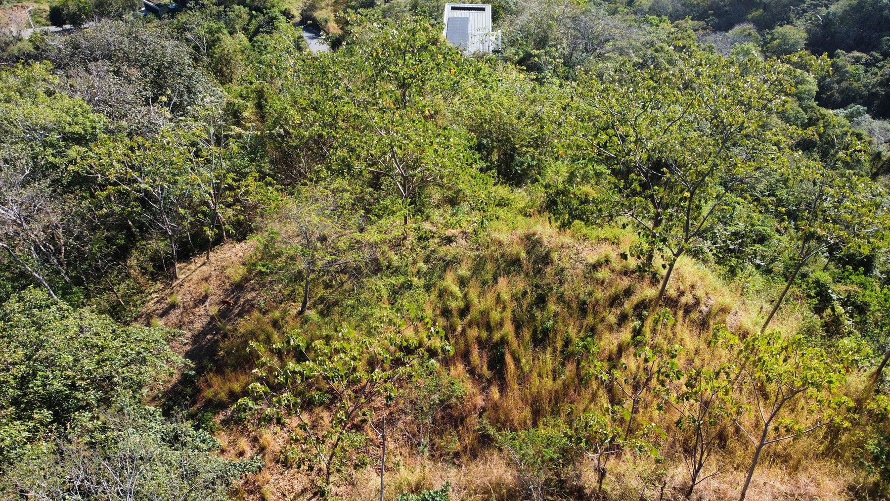 Nosara Estates Panoramic Ocean view — photo 7 of 7