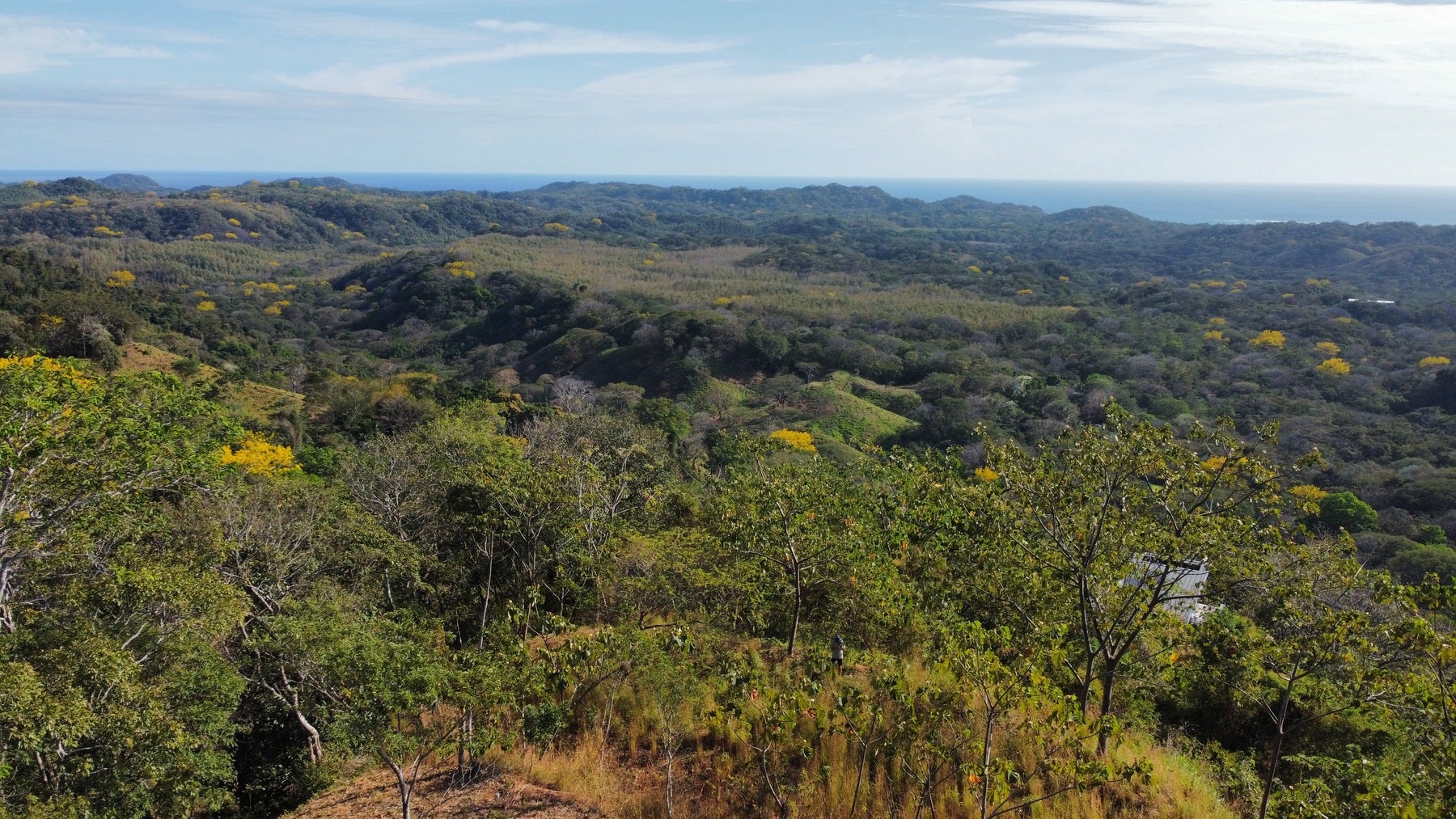 Nosara Estates Panoramic Ocean View, Nosara, Nosara, Nicoya, Guanacaste, Costa Rica 50206