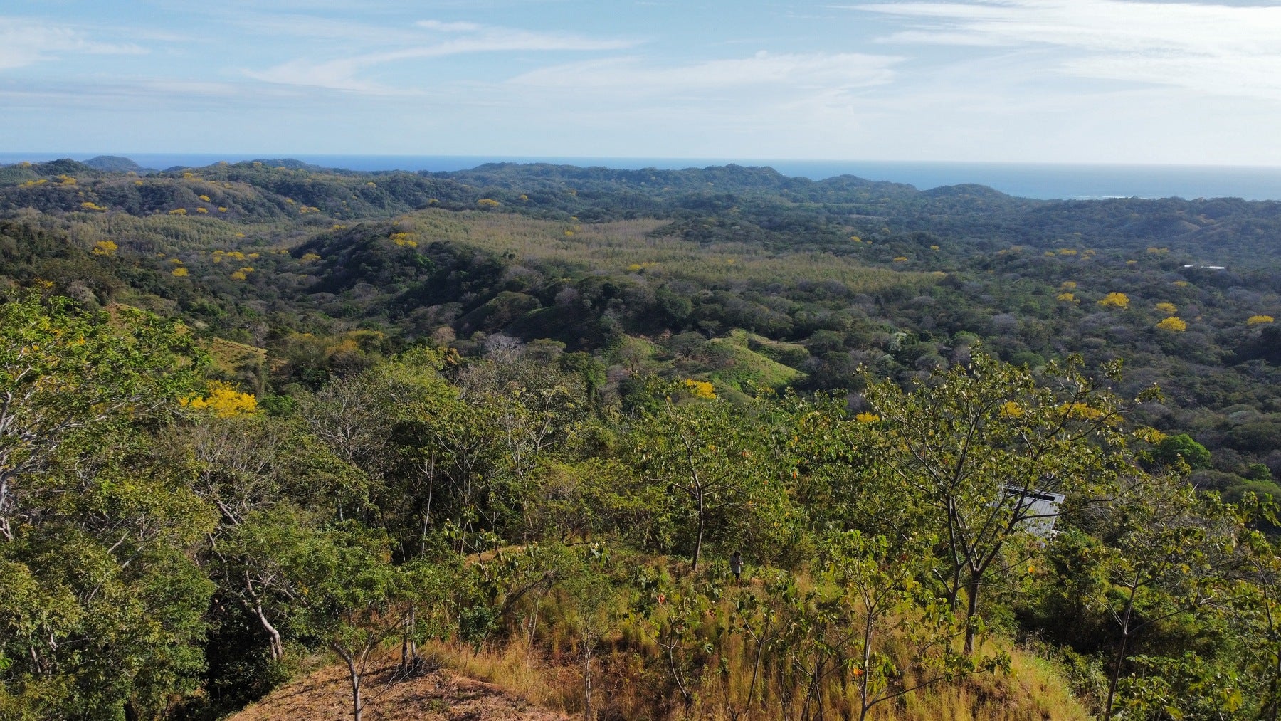 Nosara Estates Panoramic Ocean view, Nosara, Nosara, Nicoya, Guanacaste, Costa Rica 50206 — photo 3 of 5