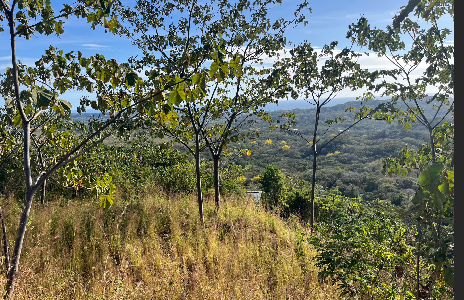 Nosara Estates Panoramic Ocean view, Nosara, Nosara, Nicoya, Guanacaste, Costa Rica 50206 — photo 4 of 5