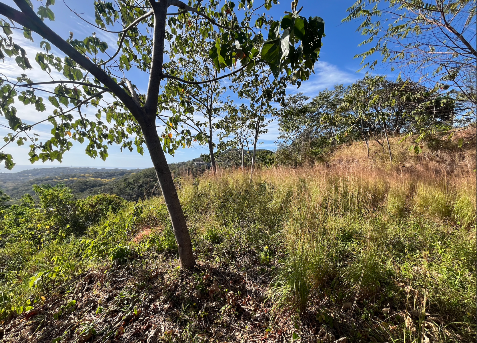 Nosara Estates Panoramic Ocean view — photo 6 of 7